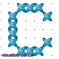 Dani Logo Design